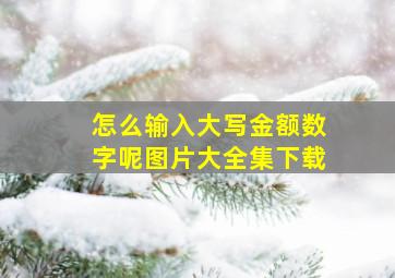 怎么输入大写金额数字呢图片大全集下载