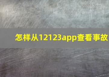 怎样从12123app查看事故