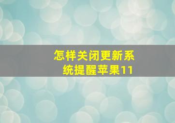 怎样关闭更新系统提醒苹果11