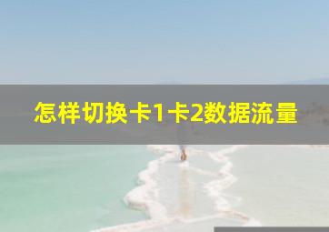 怎样切换卡1卡2数据流量