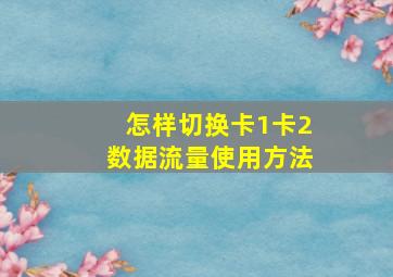 怎样切换卡1卡2数据流量使用方法