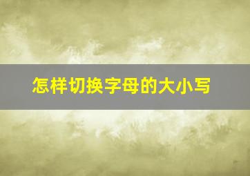 怎样切换字母的大小写