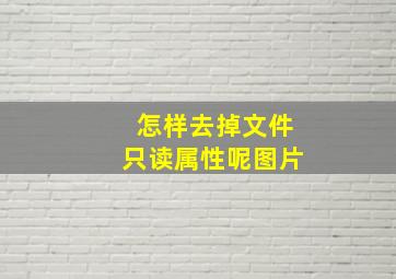 怎样去掉文件只读属性呢图片