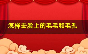 怎样去脸上的毛毛和毛孔