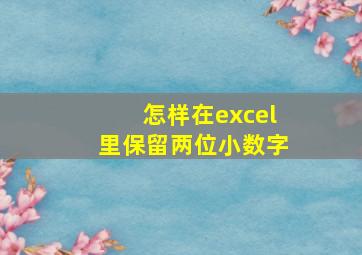 怎样在excel里保留两位小数字