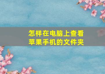 怎样在电脑上查看苹果手机的文件夹