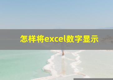 怎样将excel数字显示