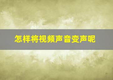 怎样将视频声音变声呢