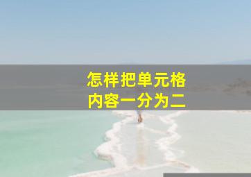 怎样把单元格内容一分为二