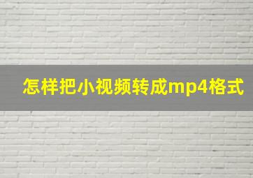 怎样把小视频转成mp4格式