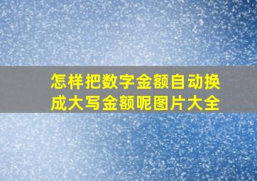 怎样把数字金额自动换成大写金额呢图片大全