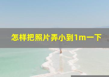 怎样把照片弄小到1m一下