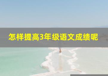 怎样提高3年级语文成绩呢