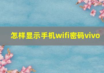 怎样显示手机wifi密码vivo