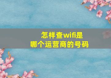 怎样查wifi是哪个运营商的号码