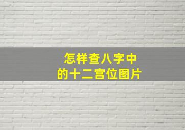 怎样查八字中的十二宫位图片