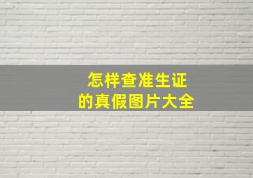 怎样查准生证的真假图片大全