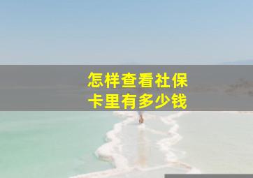 怎样查看社保卡里有多少钱