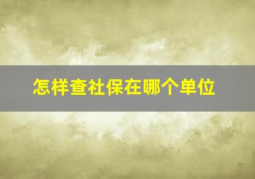 怎样查社保在哪个单位