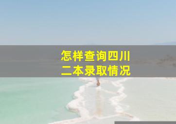 怎样查询四川二本录取情况