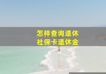 怎样查询退休社保卡退休金