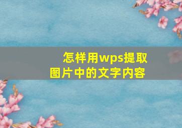 怎样用wps提取图片中的文字内容