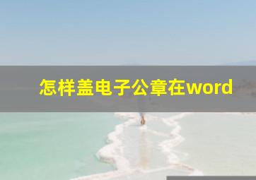 怎样盖电子公章在word