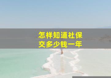 怎样知道社保交多少钱一年