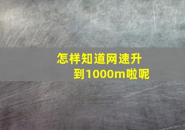 怎样知道网速升到1000m啦呢