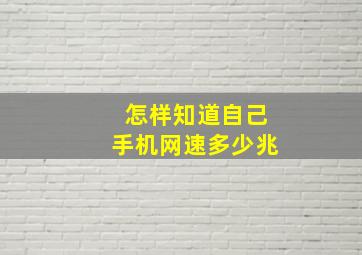 怎样知道自己手机网速多少兆