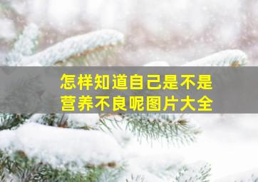 怎样知道自己是不是营养不良呢图片大全