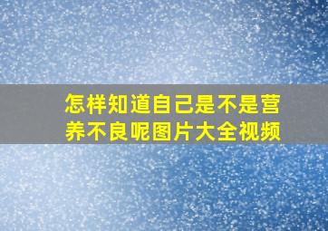 怎样知道自己是不是营养不良呢图片大全视频