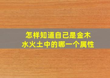 怎样知道自己是金木水火土中的哪一个属性