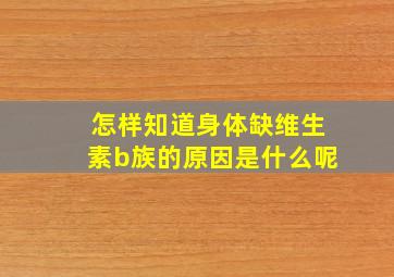 怎样知道身体缺维生素b族的原因是什么呢