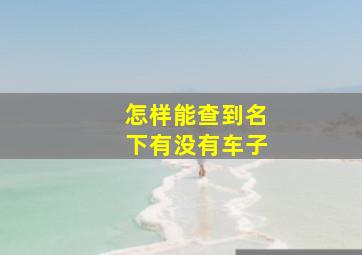 怎样能查到名下有没有车子