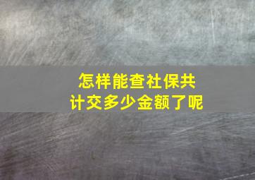 怎样能查社保共计交多少金额了呢