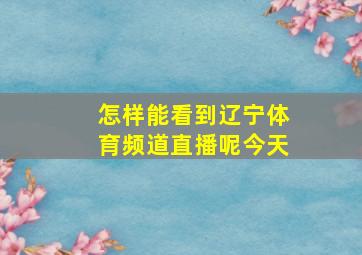 怎样能看到辽宁体育频道直播呢今天