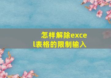 怎样解除excel表格的限制输入