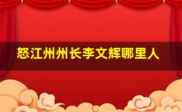 怒江州州长李文辉哪里人