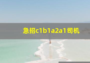 急招c1b1a2a1司机