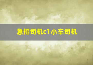 急招司机c1小车司机