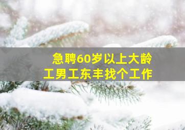 急聘60岁以上大龄工男工东丰找个工作