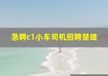 急聘c1小车司机招聘楚雄