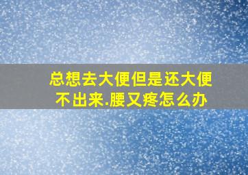 总想去大便但是还大便不出来.腰又疼怎么办