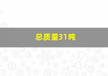 总质量31吨