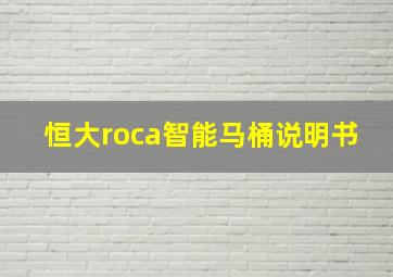 恒大roca智能马桶说明书