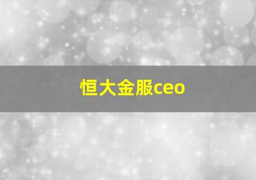 恒大金服ceo