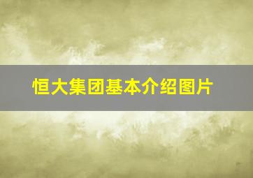 恒大集团基本介绍图片