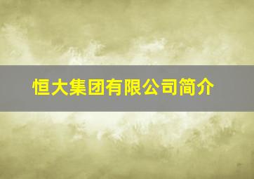 恒大集团有限公司简介