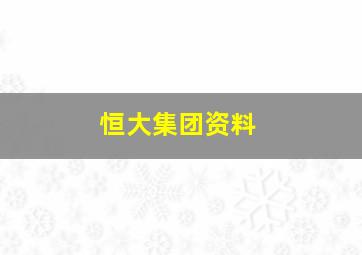 恒大集团资料